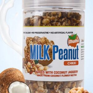 Milk Peanut Chikki